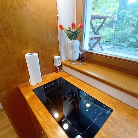 2 Zimmer, Wc, Bad Und Terrasse Appartement *